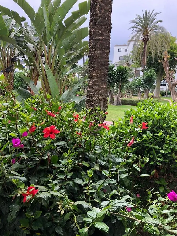 Jardines Del Puerto En Pleno Centro De Puerto Banus Apartment Marbella